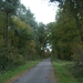 131023 43    NATUUR