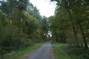 131023 43    NATUUR