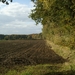 131023 44    NATUUR