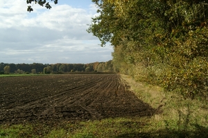 131023 44    NATUUR