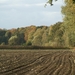 131023 45    NATUUR