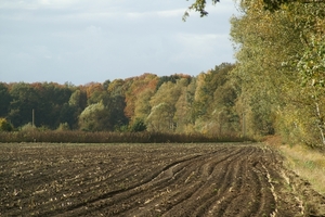131023 45    NATUUR