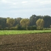 131023 46    NATUUR