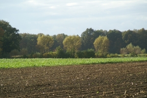 131023 46    NATUUR