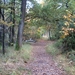 131023 50    NATUUR