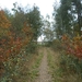 131023 53    TOREN LUNTER, NATUUR