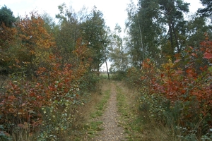 131023 53    TOREN LUNTER, NATUUR