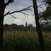 131023 54    TOREN LUNTER, NATUUR