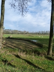 127-De vlakke polders