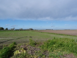 134-Nog 7.8 km..langs de vlakke polders