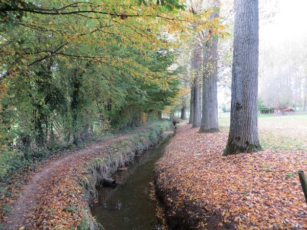 2013-10-26 Goeferdinge 010