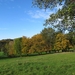 2013-10-26 Goeferdinge 013
