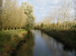 Lokeren Oktober 2013 005