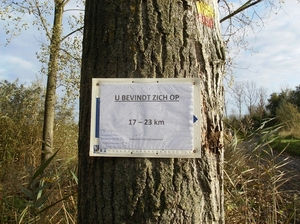 Lokeren Oktober 2013 009