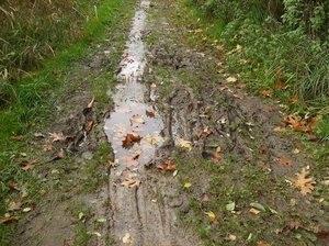 Lokeren Oktober 2013 012