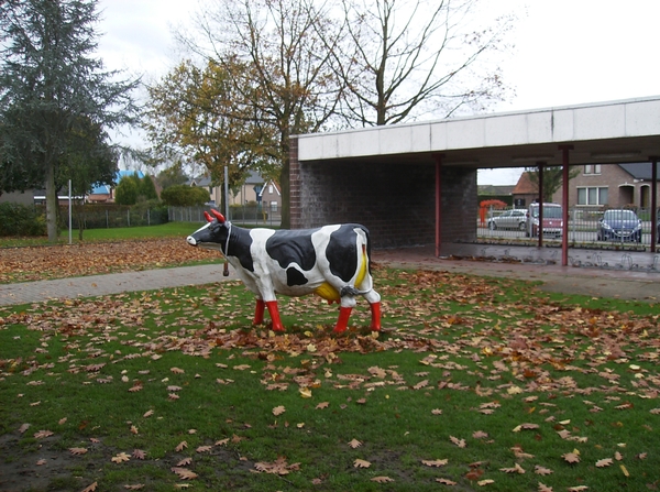 Lokeren Oktober 2013 013