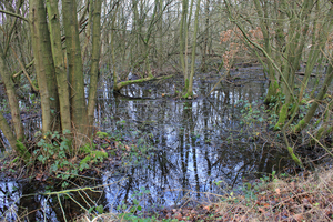 OMGEVING HERSELT