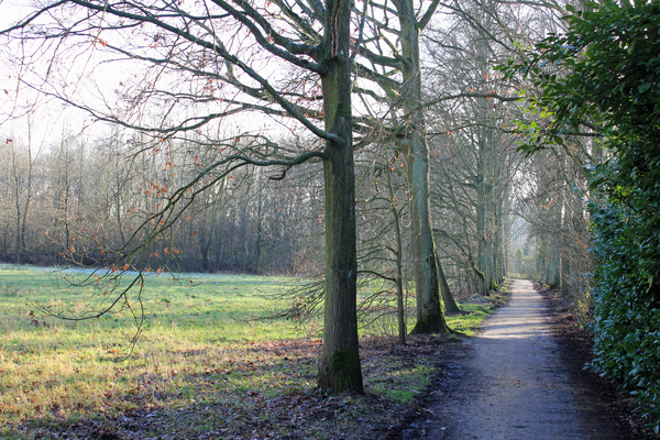 OMGEVING HOVE