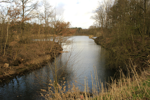 OMGEVING RIJKEVORSEL-BEERSE