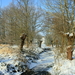 OMGEVING HOVE