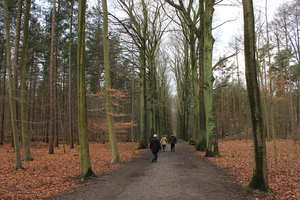 OMGEVING HEVERLEE