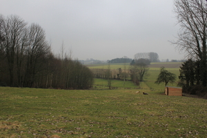 OMGEVING LENNIK
