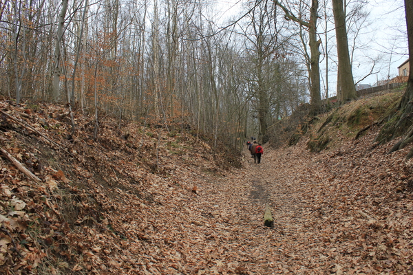 OMGEVING LINDEN-HOLSBEEK
