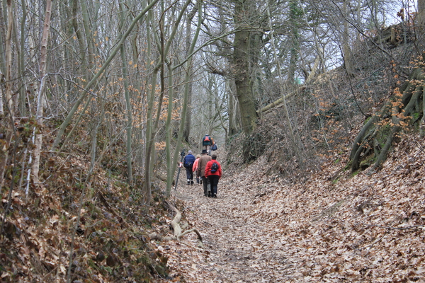 OMGEVING LINDEN-HOLSBEEK