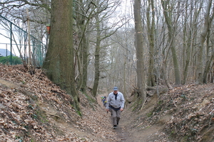 OMGEVING LINDEN-HOLSBEEK