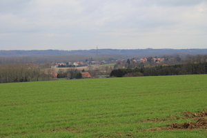 OMGEVING LINDEN-HOLSBEEK