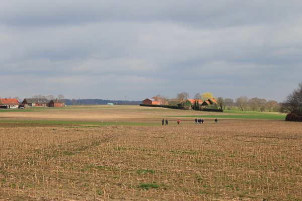 OMGEVING LINDEN-HOLSBEEK