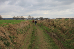 OMGEVING LINDEN-HOLSBEEK