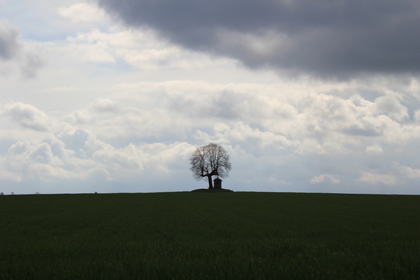 OMGEVING LINDEN-HOLSBEEK