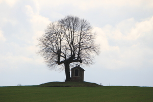 OMGEVING LINDEN-HOLSBEEK