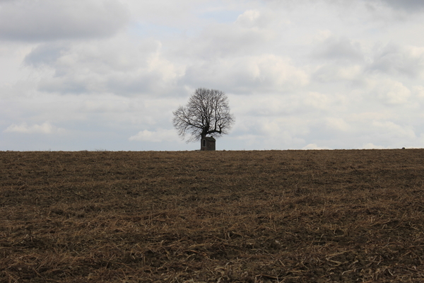 OMGEVING LINDEN-HOLSBEEK