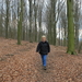 OMGEVING LINDEN-HOLSBEEK