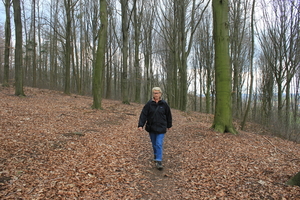 OMGEVING LINDEN-HOLSBEEK