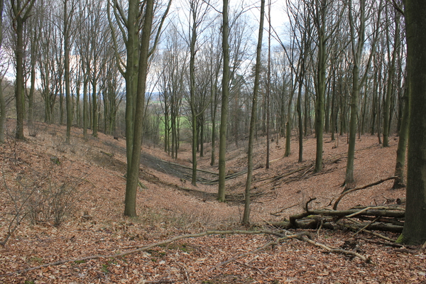 OMGEVING LINDEN-HOLSBEEK