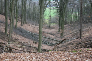 OMGEVING LINDEN-HOLSBEEK