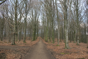 OMGEVING LINDEN-HOLSBEEK