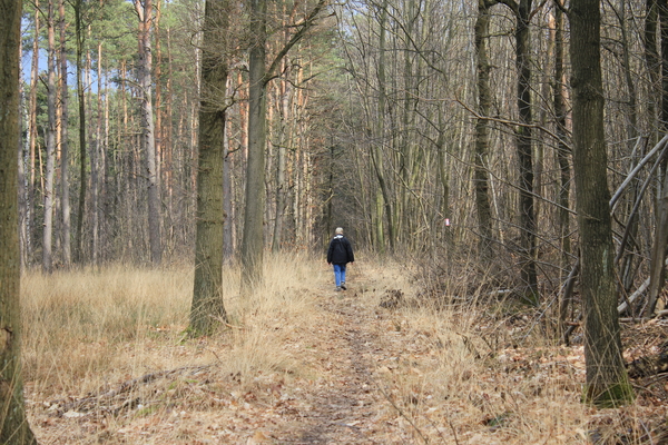 OMGEVING LINDEN-HOLSBEEK