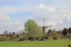 OMGEVING OSSENDRECHT - NL