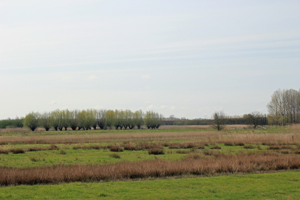 OMGEVING OSSENDRECHT - NL