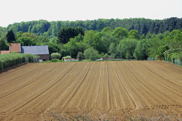 OMGEVING TIELT-WINGE