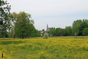 OMGEVING TIELT-WINGE