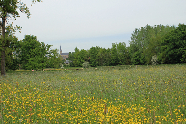 OMGEVING TIELT-WINGE