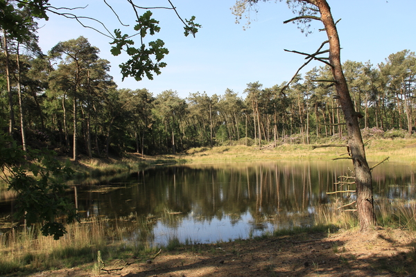 OMGEVING OSSENDRECHT - NL