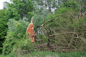 OMGEVING TURNHOUT-ZEVENDONK