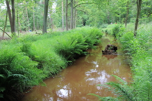 OMGEVING TURNHOUT-ZEVENDONK