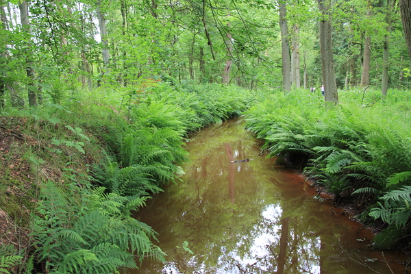 OMGEVING TURNHOUT-ZEVENDONK